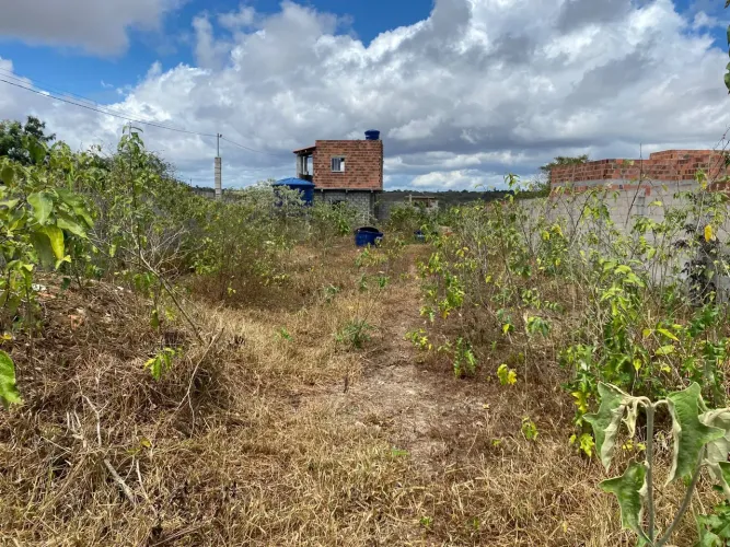 SÍTIO ÁREA RURAL