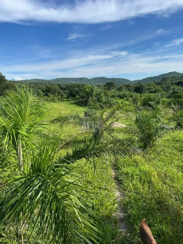 Fazenda a Venda no bairro Zona Rural - Faina, GO