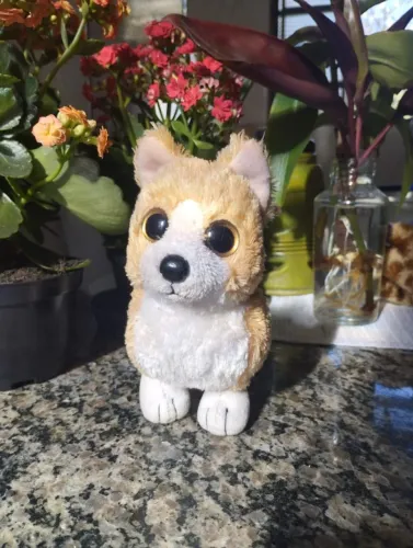 Beanie boo corgi pelúcia usado