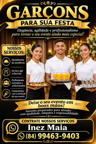 MELHORES GARÇONS PRA SUA FESTA