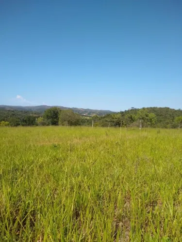 Chácara 20.000 m², plano, riacho nos fundos, terra fértil. Jaboticatubas.