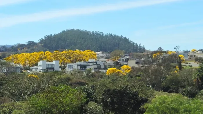 Lote/Terreno para venda com 364 metros quadrados em Loteamento Sitio dos Ipês - Socorro -