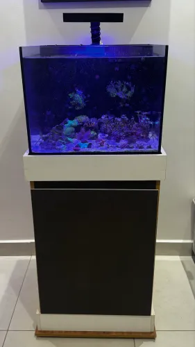 *AQUÁRIO MARINHO 125L COMPLETO*
