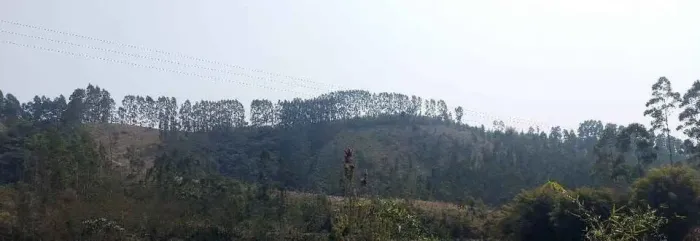 Sítio em Natividade da Serra 20 alqueires. Antes da Balsa