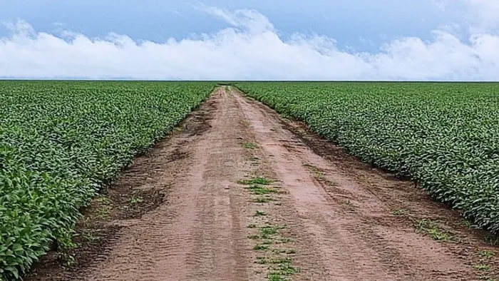 Fazenda município de  São Félix de Balsas área 21.750  