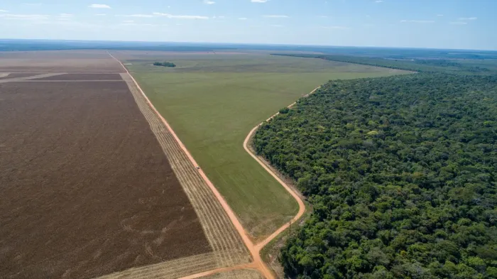 Fazenda de 5 mil hect. Em campo novo de parecis MT. 220 milhões. Entrada 50mm e 9 x.