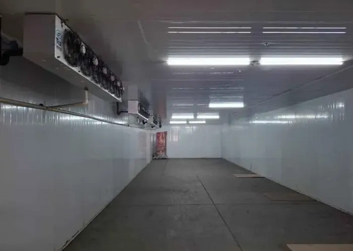 CAMARA FRIA PARA RESFRIADOS