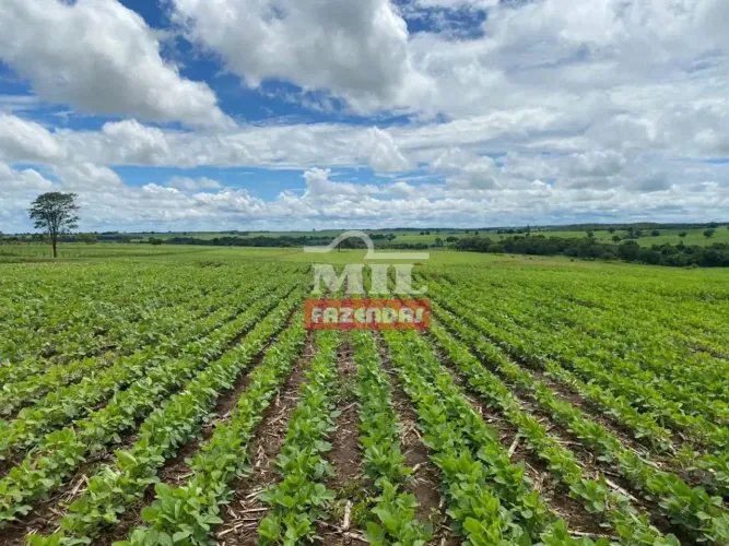 Fazenda 36 alquieres (174,24 hectares) Edealina - Go