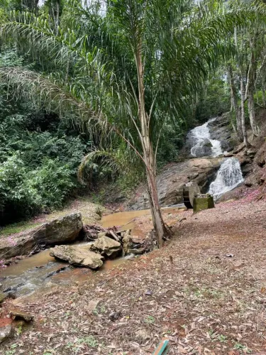 Maravilhoso sitio com 3 hectares em Sta Rita do Sapucai/MG <br> Santa Rita do Sapucaí M/G