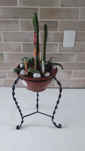 Plantas (Cactos) + Suporte