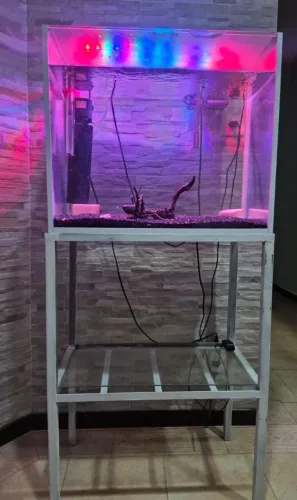 Aquário 100 litros