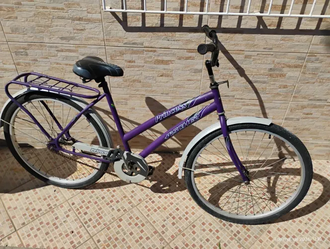 Bicicleta feminina Fisher 