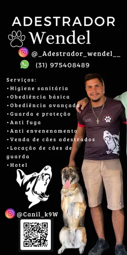 Adestrador de cães 