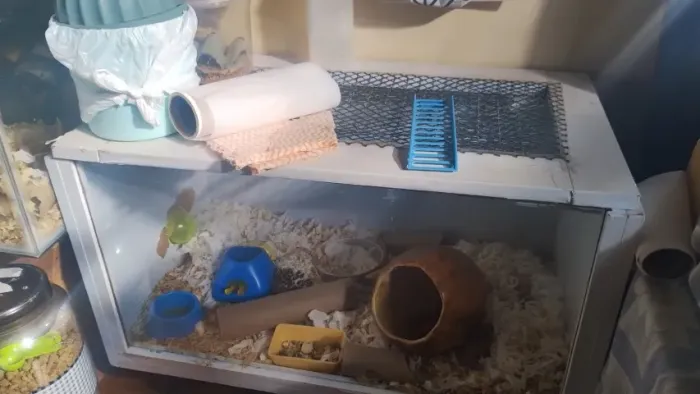 Terrário para pets