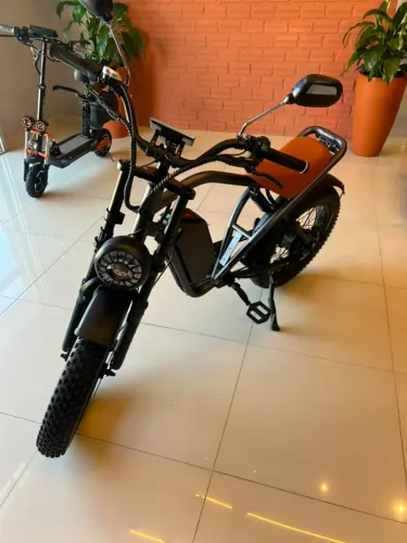 Bicicleta Elétrica RAVA 800w