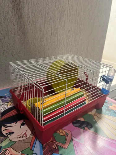Gaiola hamster para transporte 