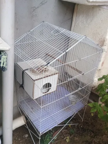 Gaiola para pássaros