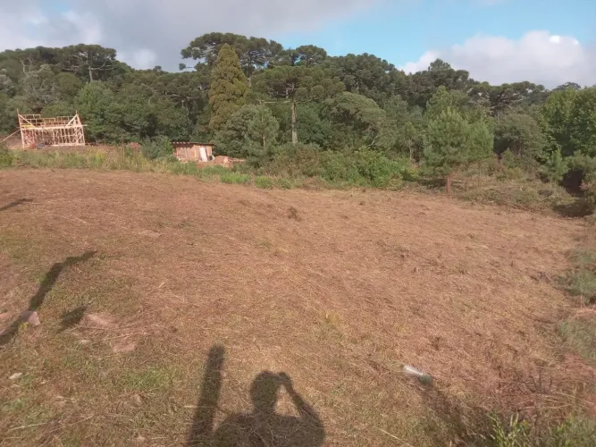 Lote em São Francisco de Paula