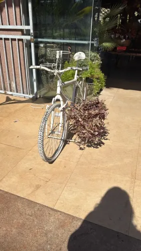 Bicicleta decorativa