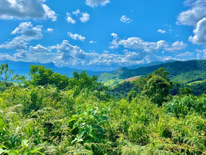 Sítio com 3 hectares na Serra Verde - Quatro Óleos 