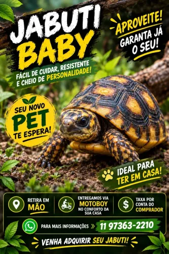 Animal