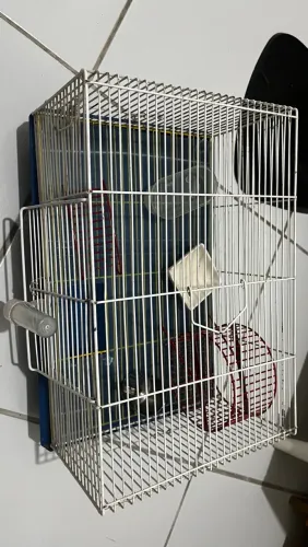 Gaiola para hamster