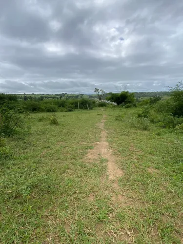 Terreno em Conceição Jacuipe