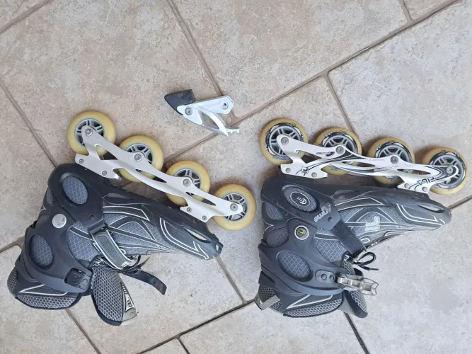 Patins fila num. 42