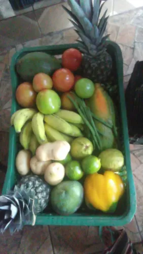 Vende-se verdura