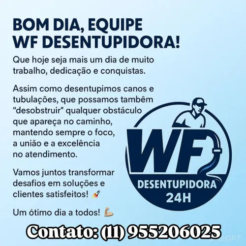 Desentupidora WF Desentupidora 