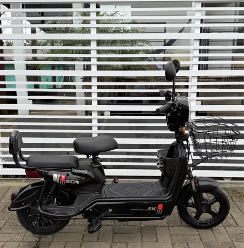 Moto elétrica 600w 