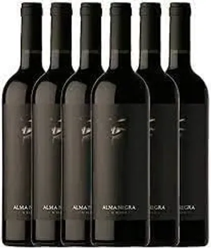 Vinho Argentino Alma Negra - Caixa Fechada - 6 unidades