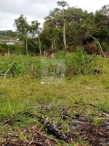 Terreno para Venda em Camaçari, Cajazeiras de Abrantes (Abrantes)