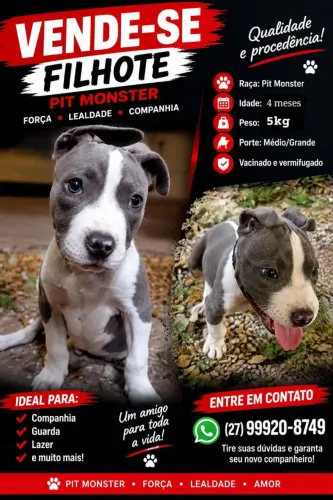 Filhote de pitmonster
