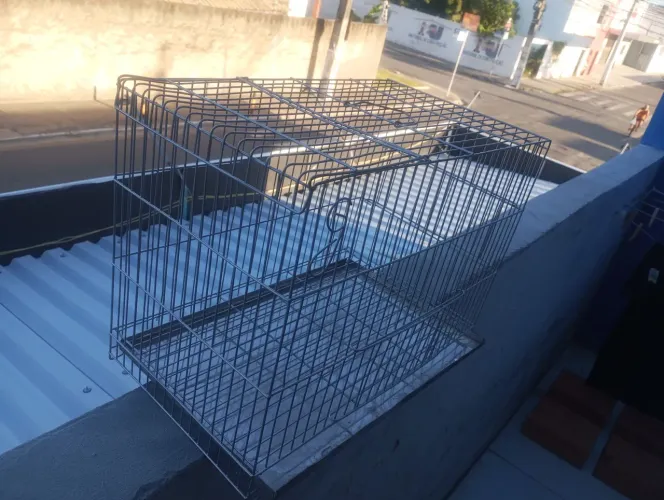 2 Gaiolas novas