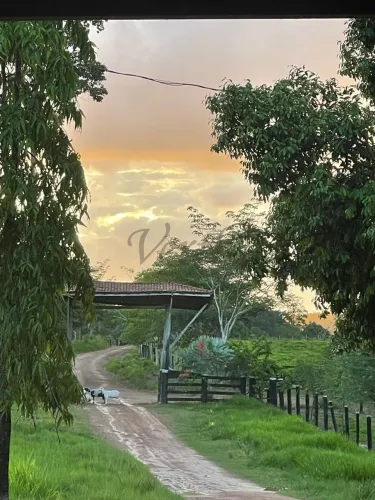 Fazenda à Venda 800 alqueires, Próxima a Maracaja e Novo Repartimento - PA
