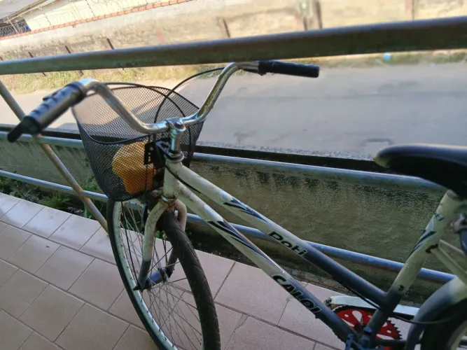 Vendo bicicleta poti