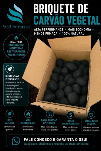 BRIQUETE DE CARVÃO VEGETAL