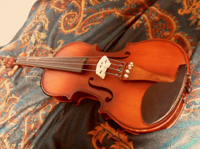 Violino 4/4