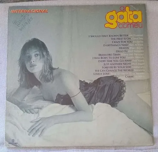 Lp A Gata Comeu Internacional (raro Madonna, Crazy For You)