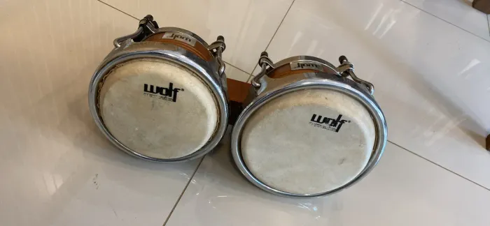 Bongô