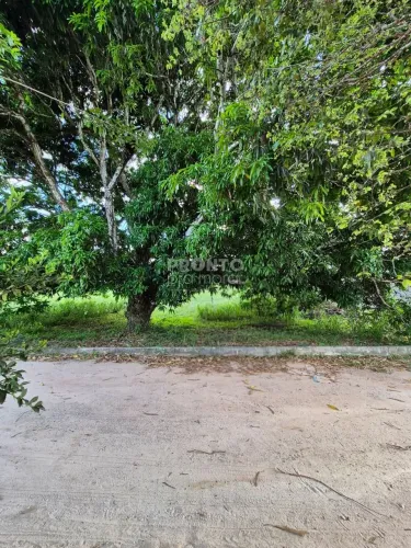 Lote/Terreno/Condomínio em Aldeia dos Camarás