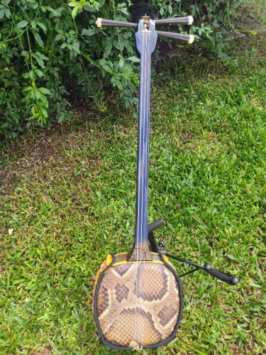 Sanshin Japonês com Couro de Cobra Original