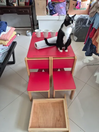 BAIXOU DE PRECO! Mesa de desenho infantil madeira maciça marca Kaloré Arte