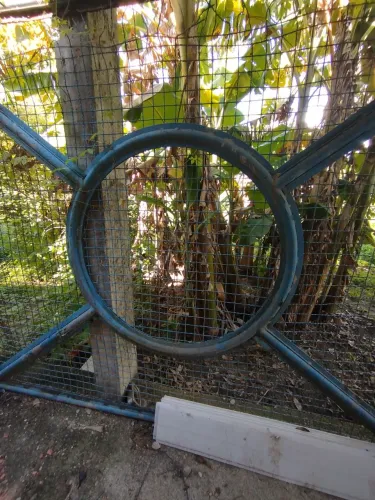 Vendo o par de portão de garagem 5m X 3m cada, material galvanizado.