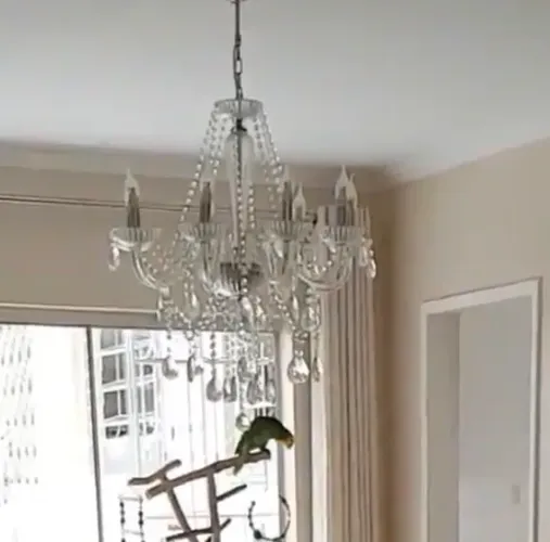Lustre de vidro com 8 braços