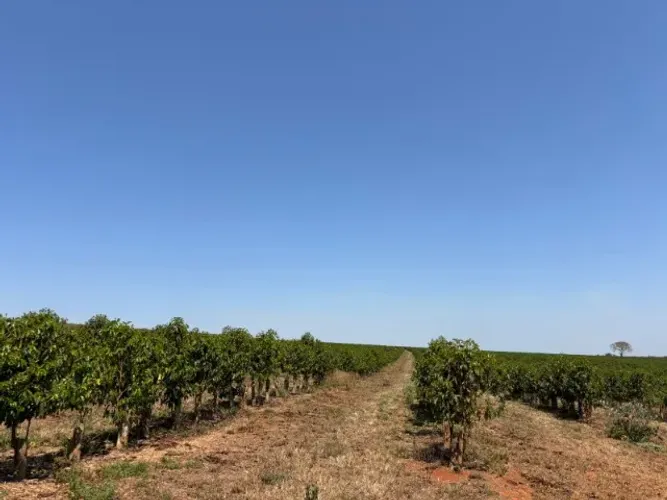 Belíssima Fazenda de 62 alqueires, localizada em Varginha/MG