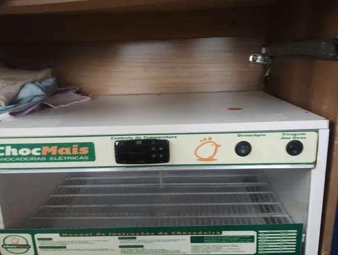 Vendo chocadeira elétrica 