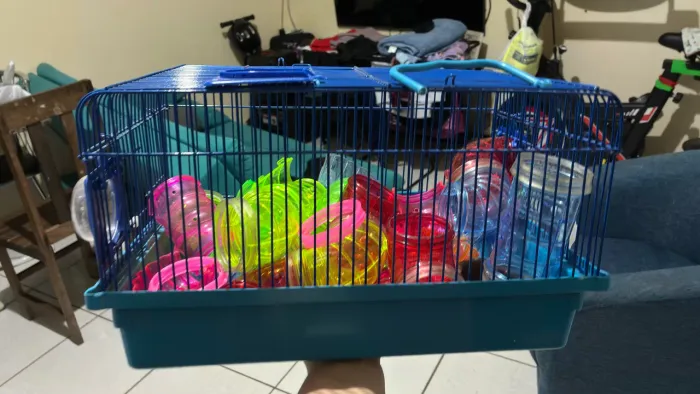 Casinha Hamster simples
