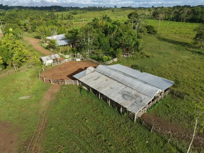 Fazenda à venda, em Feijó Acre.